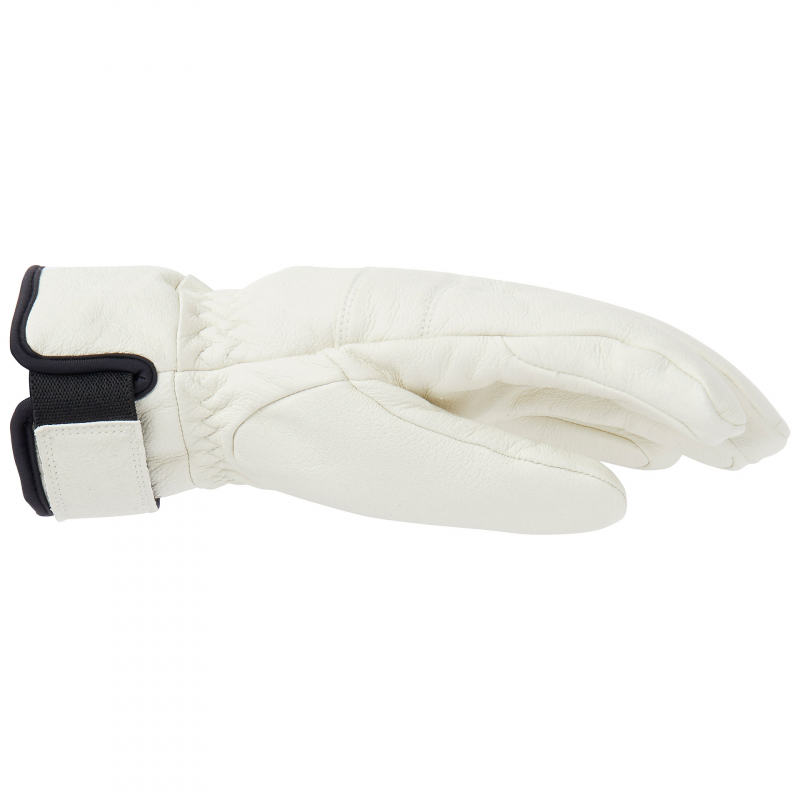 ALPHELIA GLOVE