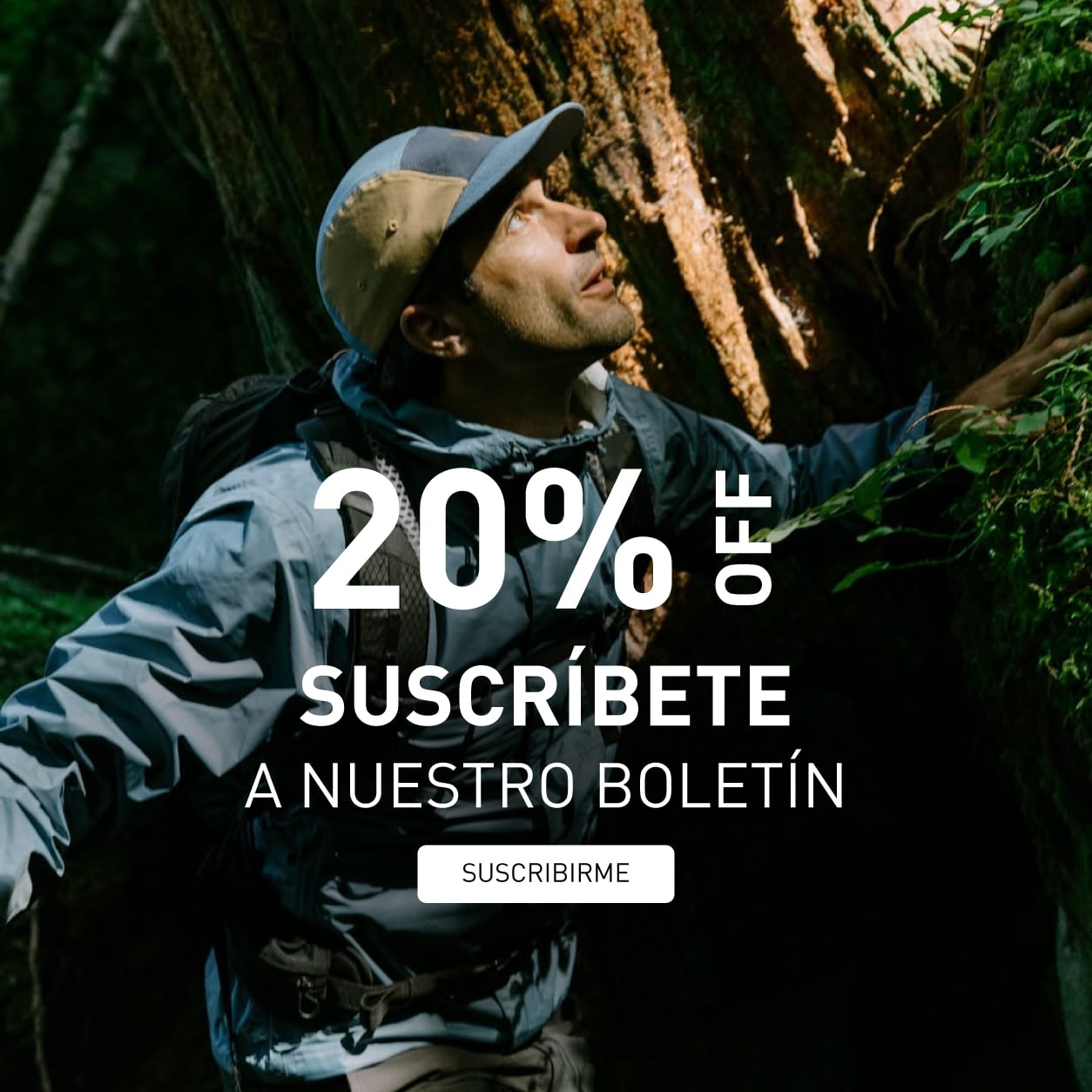 Boletín - 20% OFF